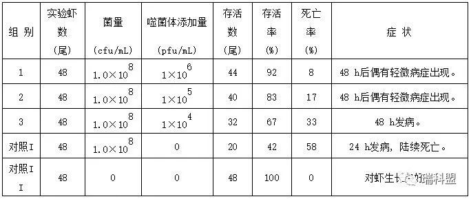 表1 噬菌体防治副溶血弧菌病的实验效果