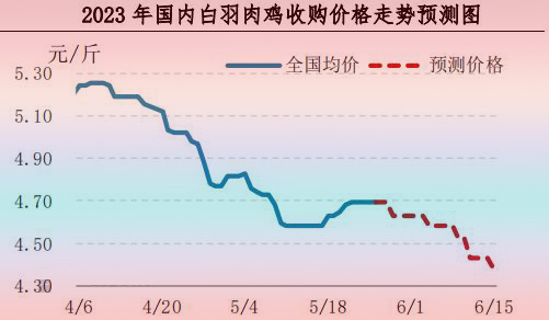 肉鸡市场行情汇总