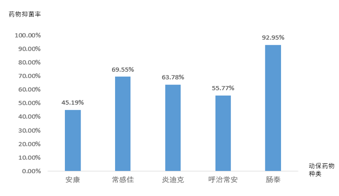 动保药物药敏效果