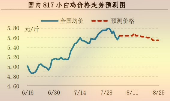 817小白鸡