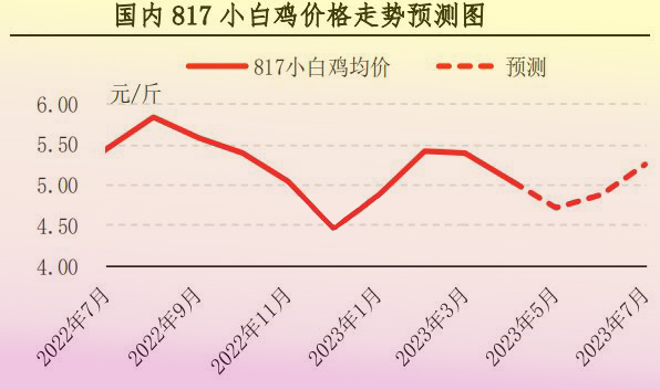 4月肉鸡市场行情剖析及5月展望