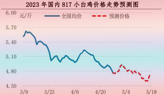 肉鸡市场行情汇总