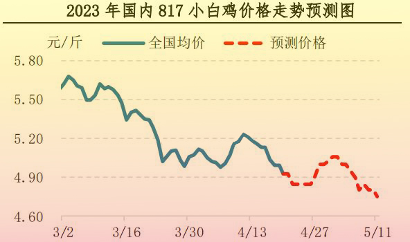 肉鸡市场行情汇总