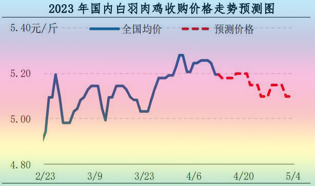 肉鸡市场行情汇总