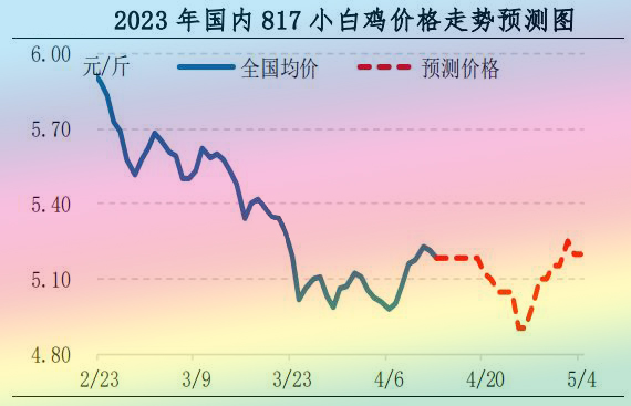 肉鸡市场行情汇总