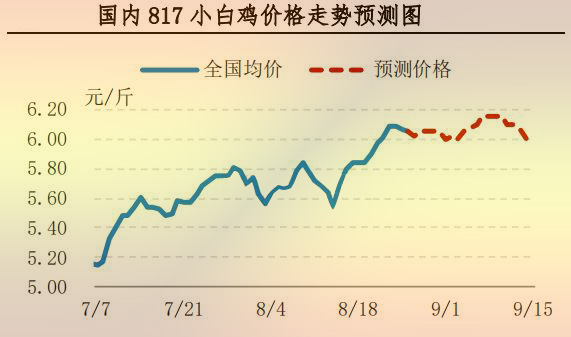 817小白鸡