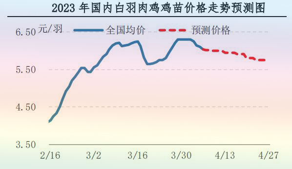 肉鸡市场行情汇总