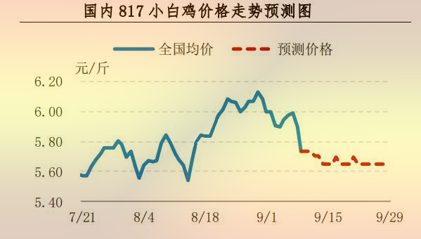 817小白鸡