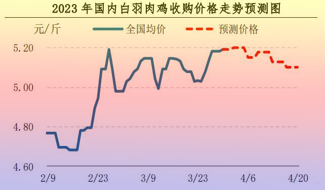 肉鸡市场行情汇总