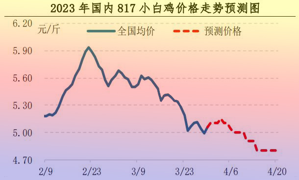 肉鸡市场行情汇总