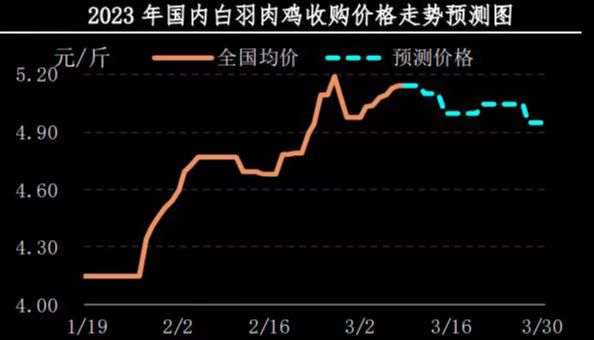 肉鸡市场行情汇总