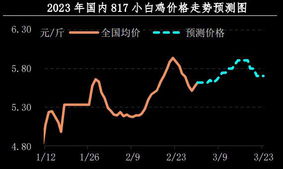 肉鸡市场行情汇总