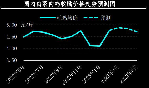 2月肉鸡市场行情剖析及3月展望