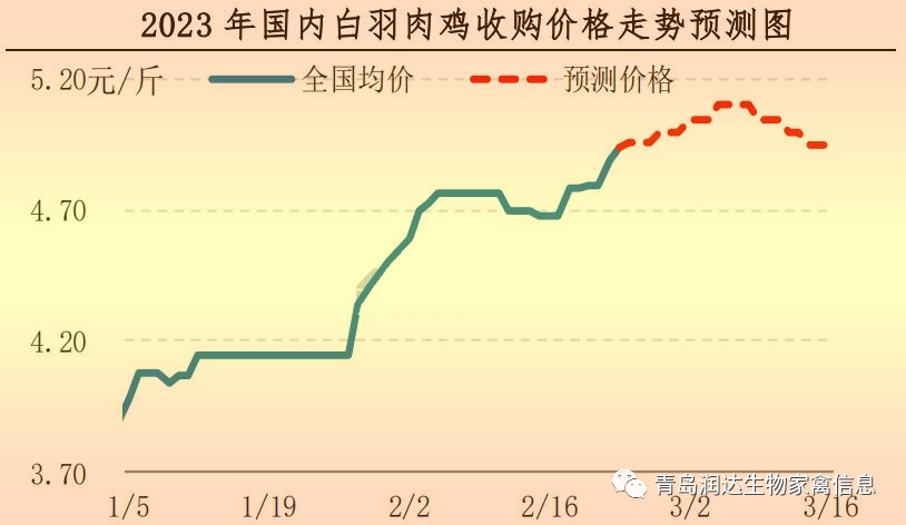 肉鸡市场行情汇总