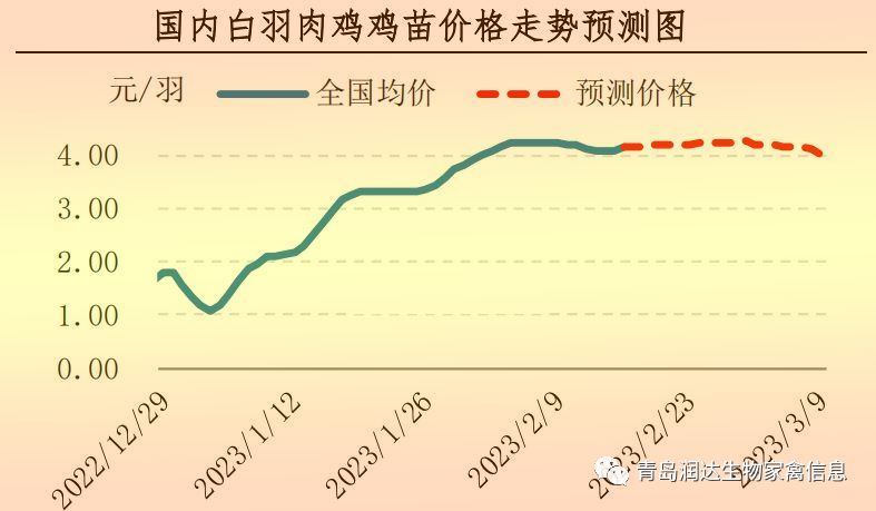 肉鸡市场行情汇总