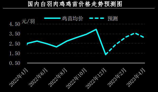 1月肉鸡市场行情剖析及2月展望