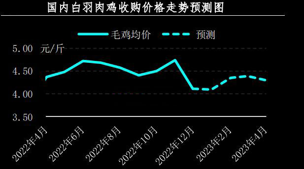 1月肉鸡市场行情剖析及2月展望