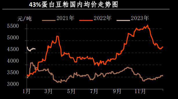 1月肉鸡市场行情剖析及2月展望