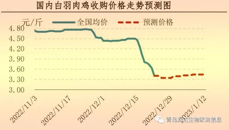 肉鸡市场行情汇总