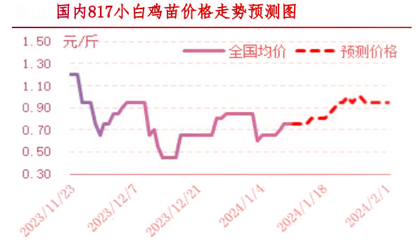 肉鸡市场行情汇总